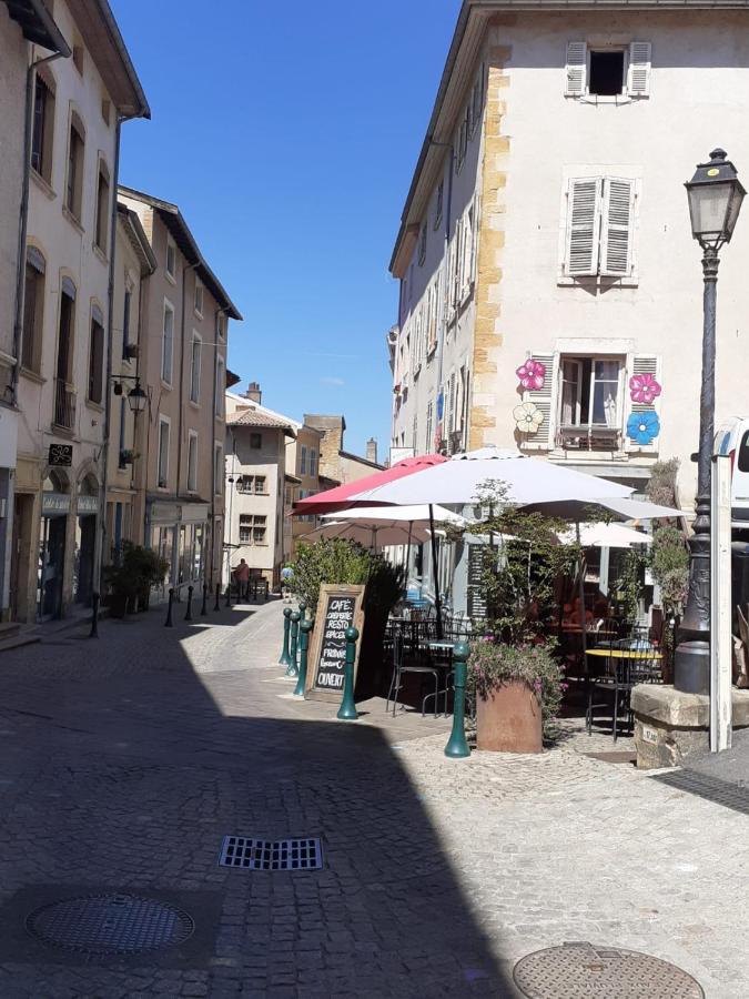 Ferienwohnung Trevoux: Loft Ravissant Avec Terrasse Exterior foto