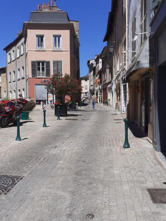 Ferienwohnung Trevoux: Loft Ravissant Avec Terrasse Exterior foto